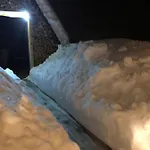 Alpine *
