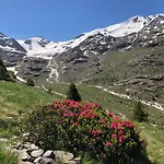 Alpine Chalet Santa Caterina Valfurva