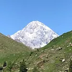 Alpine *