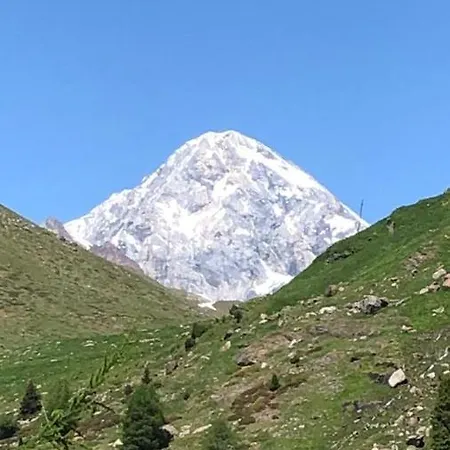 Alpine *